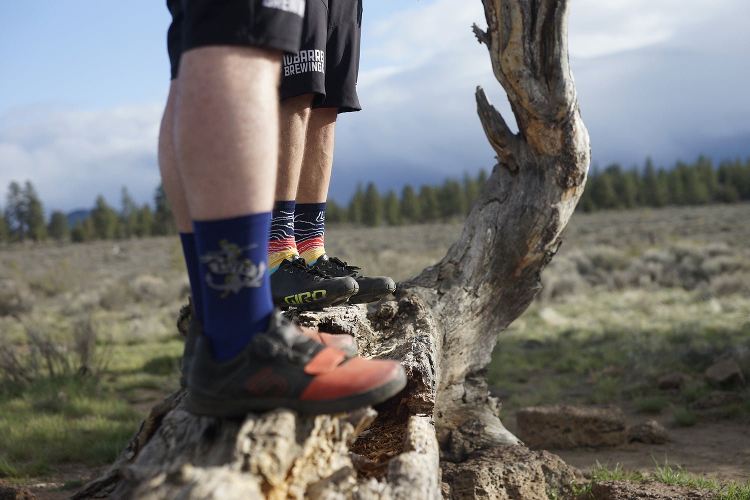 DeFeet Aireator 6" Topo Socks #athletic# #cycling# #run#
